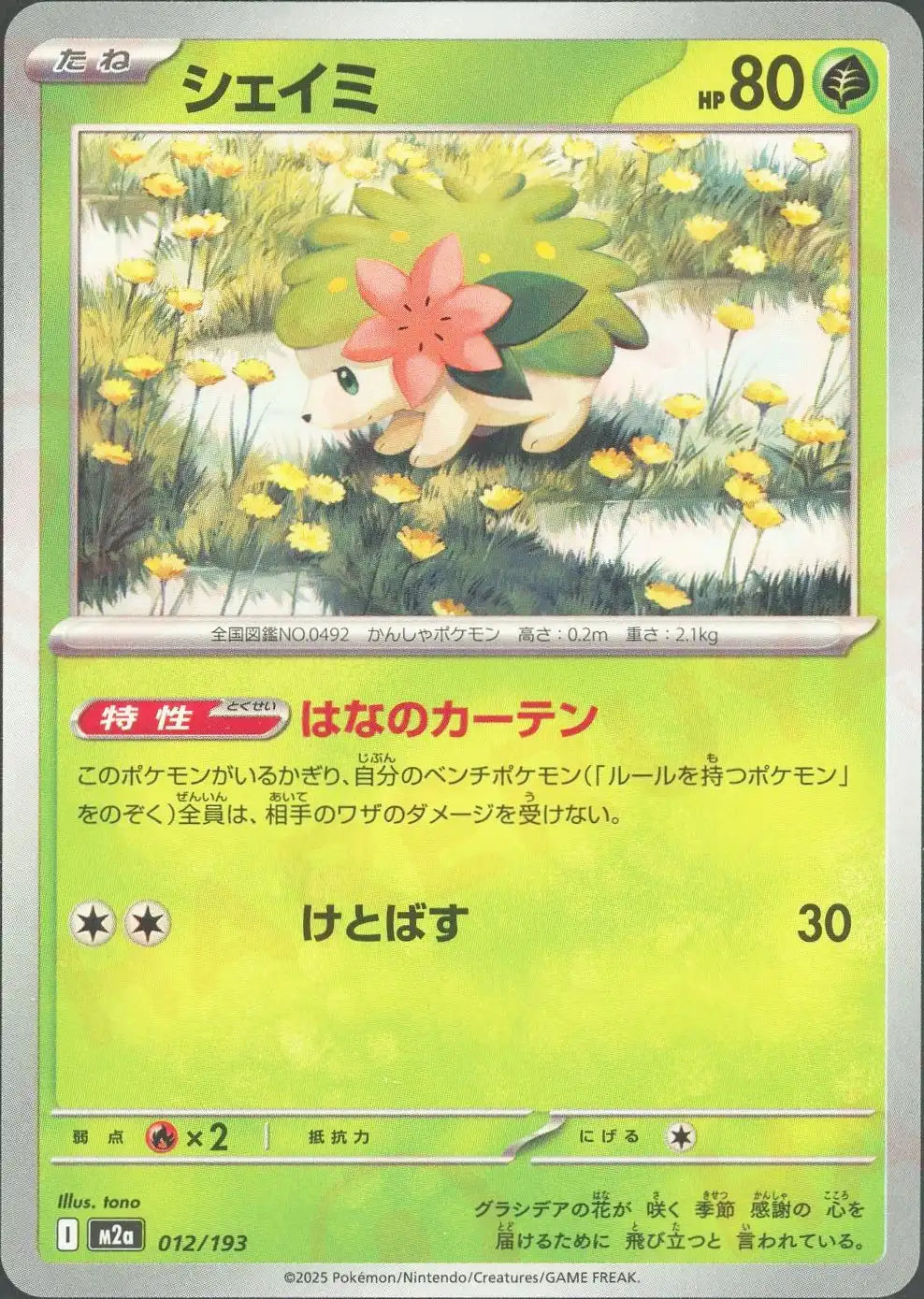 シェイミ(-){草}